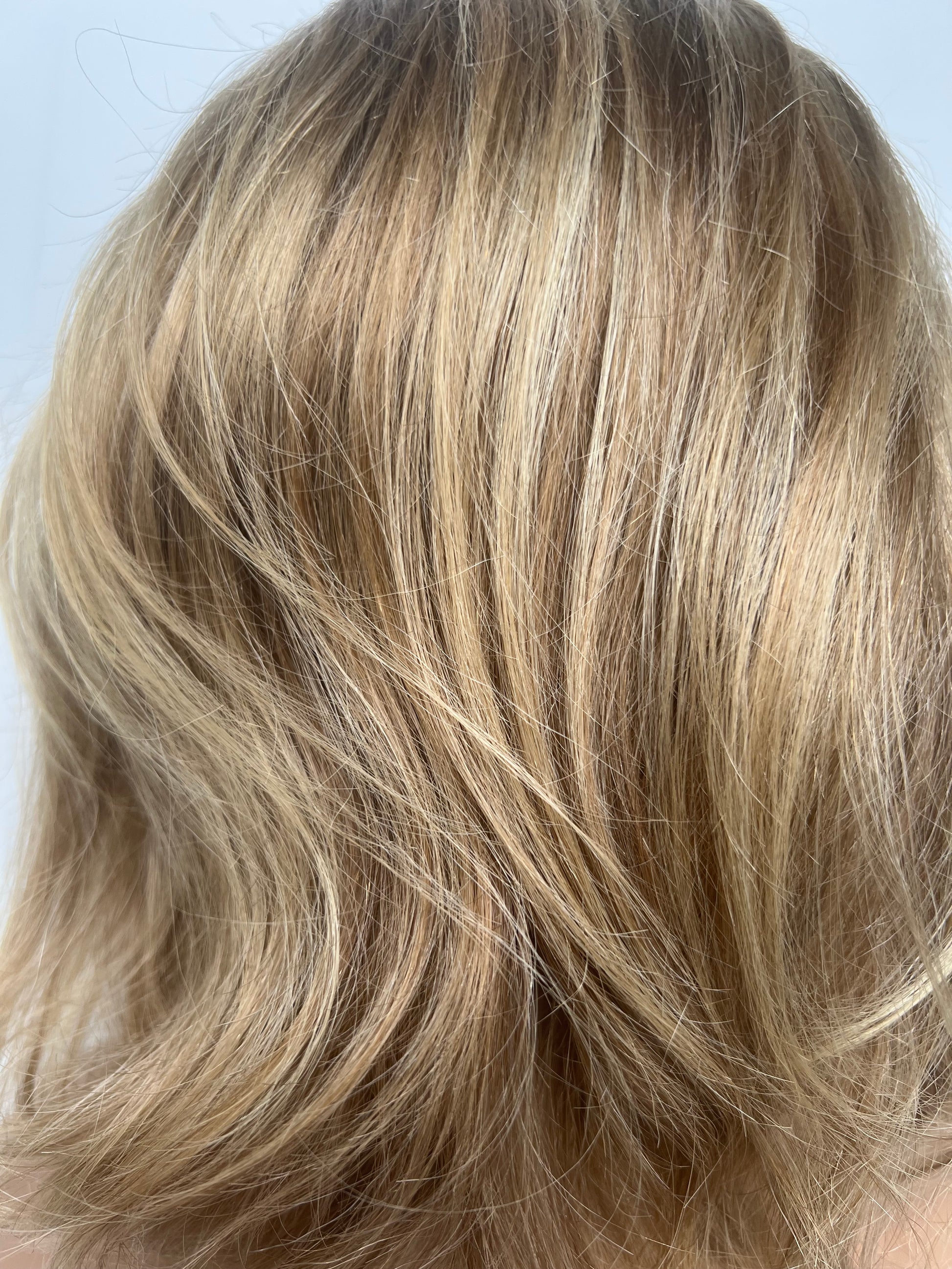 Golden Blonde Highlight with Brown Lowlights 9 inches x 12 inches Human Hair Topper, Winnipeg, Manitoba, Canada